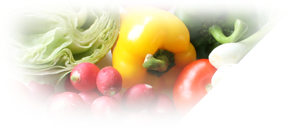 Soluciones de gestión para almacenes hortofrutícolas
